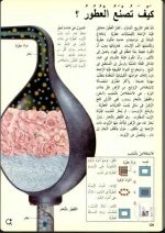 كيف تصنع العطور.webp