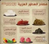 مصادر العطور العربيه.webp