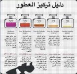 دليل تركيز العطور.webp
