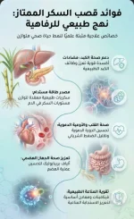 قصب السكر