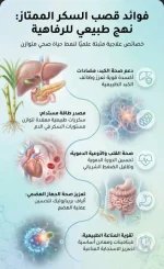 قصب السكر.webp