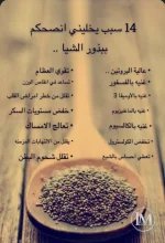 بذور الشيا.webp