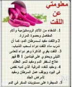 اللفت.webp