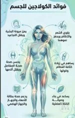 الكولاجين2.webp