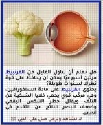 القرنببيط.webp