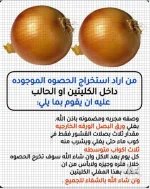 البصل لاستخراج الحصى من الكلى.webp