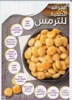 الترمس.webp