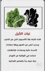 الكيل.webp