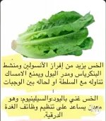 الخس.webp