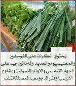 الكرات.webp