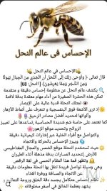 الاحساس في عالم النحل.webp