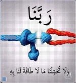 حكم د.webp