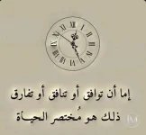 حكم د1.webp