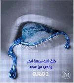 حكم7.webp حكم7.webp