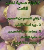اللفت4.webp