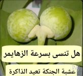 عشبة الجنكة.webp