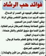 حب الرشاد3.webp