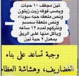 الغضاريف والعظام.webp