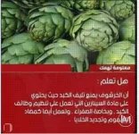 الخرشوف.webp