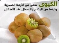 الكيوي6.webp