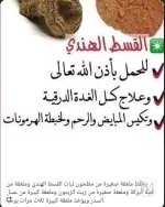 للحمل القسط.webp