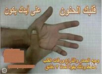 وجع الصدر والزراع ورفات القلب.webp