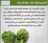 الخرشوف.webp