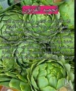 الخرشوف3.webp