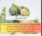 الخرشوف4.webp