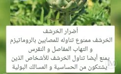 الخرشوف5.webp