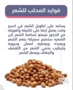 المحلب.webp