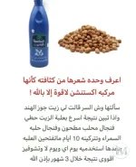 المحلب3.webp