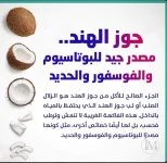 جوز الهند.webp