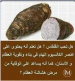 القلقاس.webp