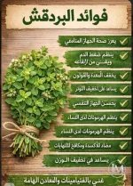 البردقوش.webp