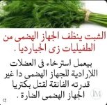 الشبت.webp