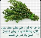 الزعتر.webp