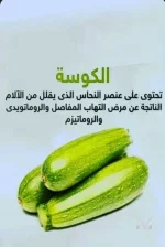 الكوسة.webp