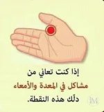 المعده والامعاء.webp