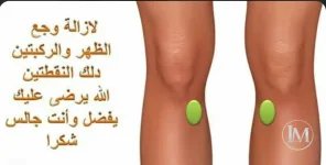 وجع الظهر والكربتين.webp