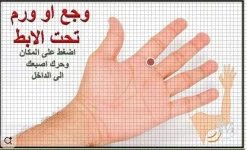 وجع تحت الابط.webp