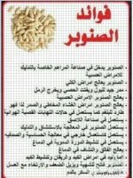 الصنوبر.webp