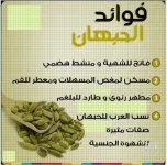 الهيل.webp