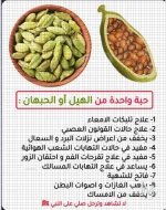 الهيل 2.webp