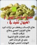 الهيل3.webp