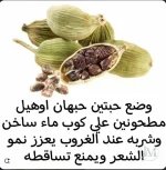 الهيل4.webp