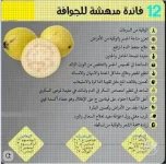 الجوافة.webp