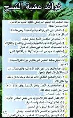 الشيح.webp