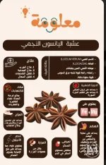 اليانسون النجمي.webp