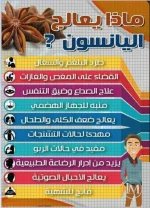 اليانسون النجمي2.webp